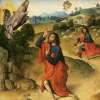Ronce de la Bible, Buisson ardent - Rubus sanctus – Image 3