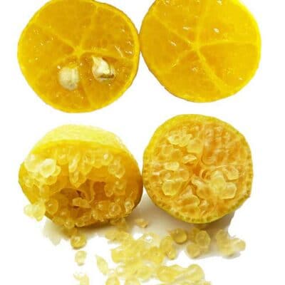 Erémorange, Citrus glauca x Citrus sinensis