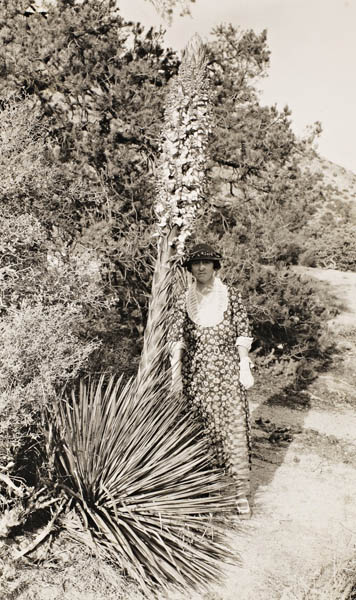 Portrait de la botaniste américaine Susan Delano McKelvey