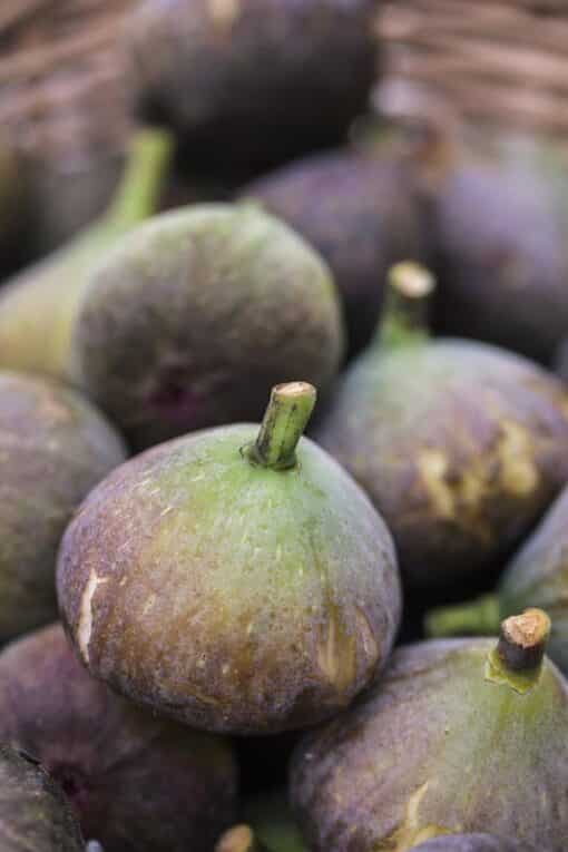 Figues De la Plaine, variété de figue parisienne